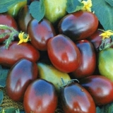 Black moor paradajz: recenzije, fotografije, prinos